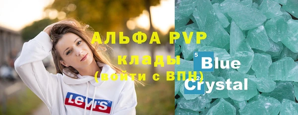 индика Новодвинск