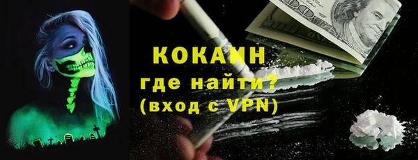 шишки Горняк