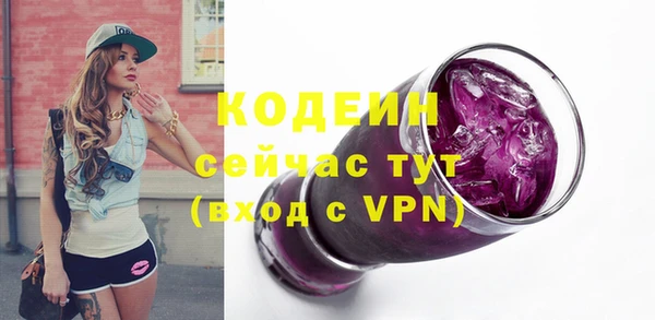 индика Новодвинск