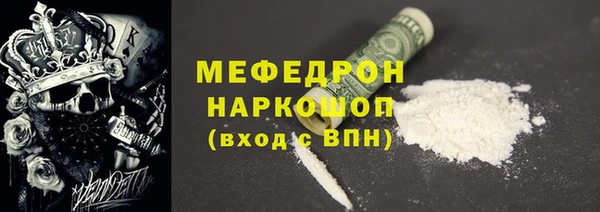 индика Новодвинск