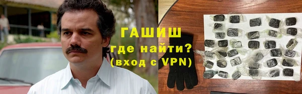 индика Новодвинск
