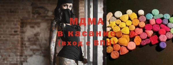 индика Новодвинск