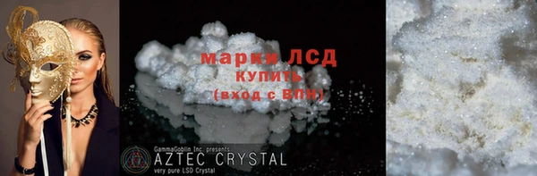 индика Новодвинск