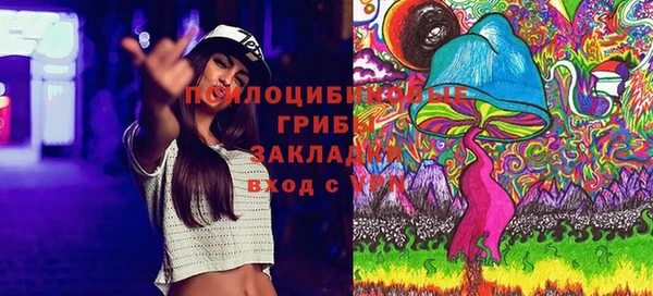ПСИЛОЦИБИНОВЫЕ ГРИБЫ Анжеро-Судженск