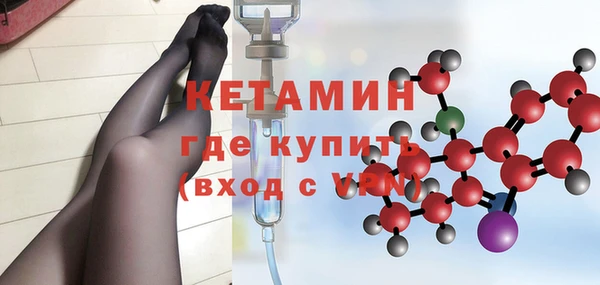 индика Новодвинск