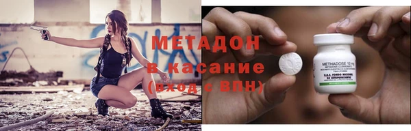 индика Новодвинск