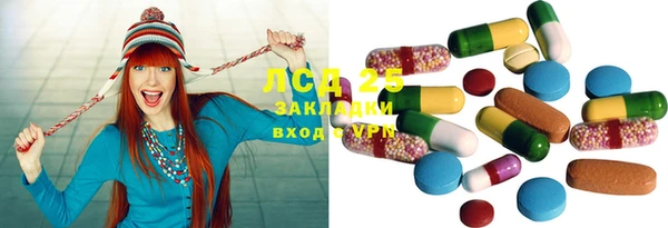 индика Новодвинск