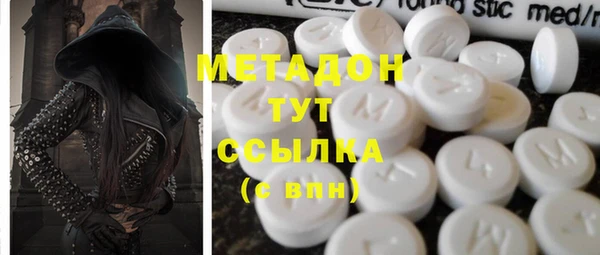 индика Новодвинск