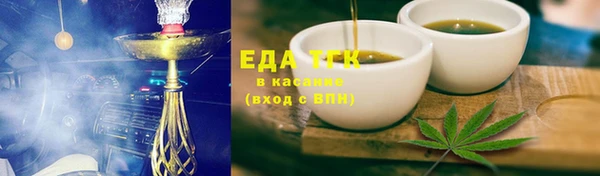 индика Новодвинск