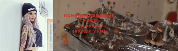 стафф Нея