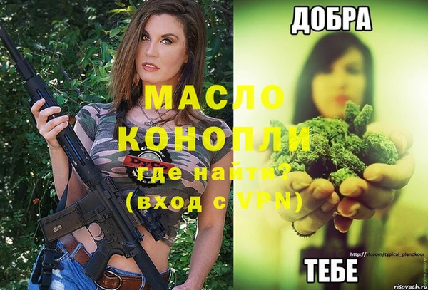 индика Новодвинск