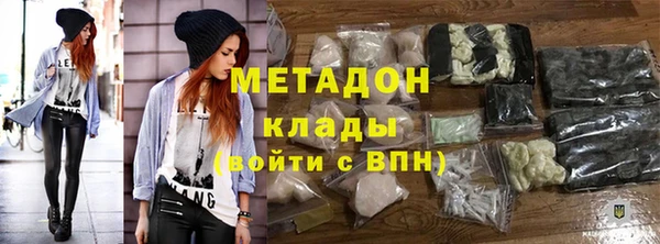 индика Новодвинск