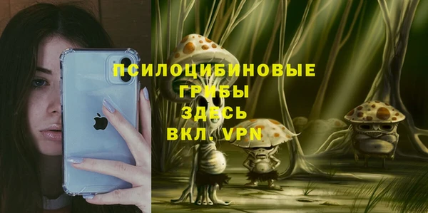 индика Новодвинск