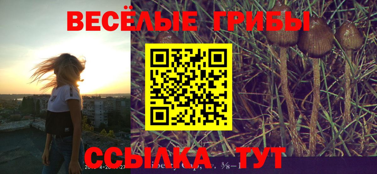 Галлюциногенные грибы Psilocybine cubensis  дарнет шоп  Кольчугино 