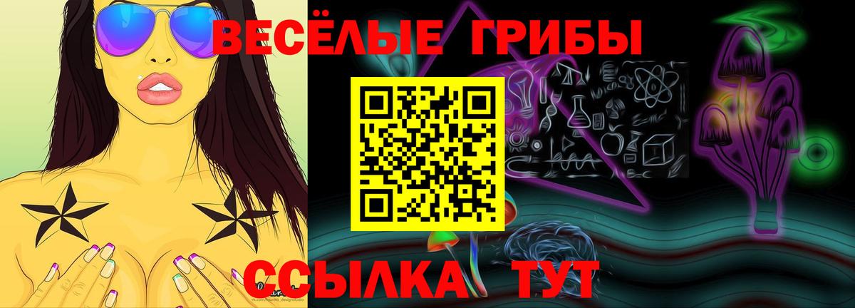 купить наркотики цена  Вход с VPN  Кольчугино  Галлюциногенные грибы Cubensis 